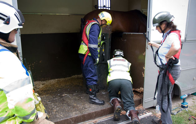 15-09-14-PS-Horse-Rescue-A331-055a.jpg