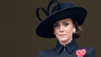 Kate, Princess of Wales, on the Buckingham Palace balcony at the National Service of Remembrance at The Cenotaph 