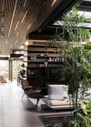 A moody living room with houseplants