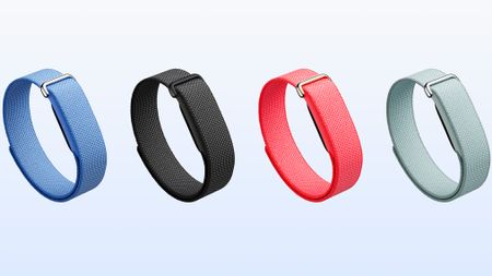 Close-up of the Fitbit Air fitness tracker