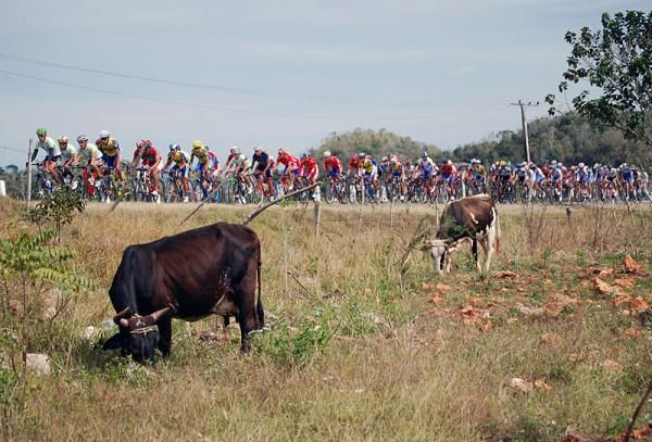 The peloton