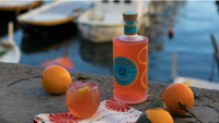 Malfy Con Arancia Sicilian Blood Orange Italian Gin