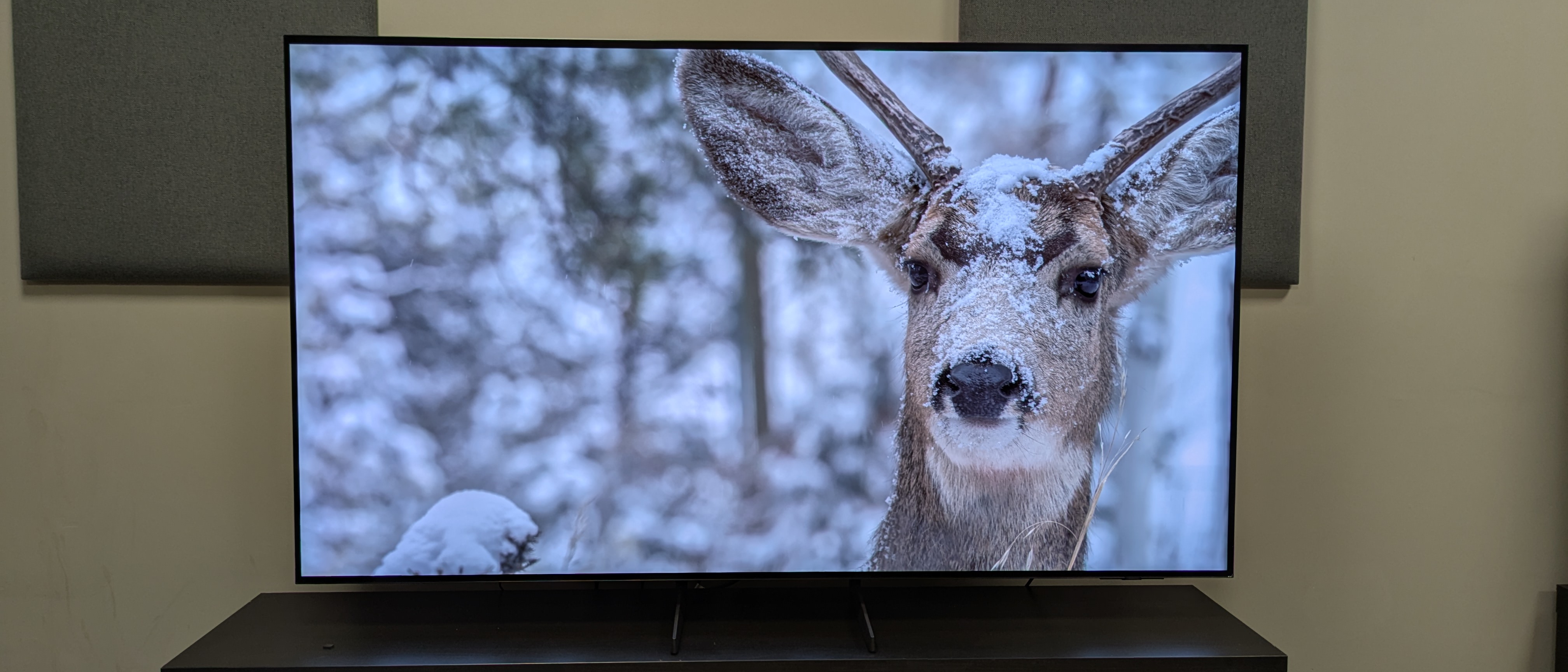 Samsung S85F hero image with snow covered deer on screen 