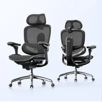 Sihoo Doro C300 Pro V2 Ergonomic Office Chair