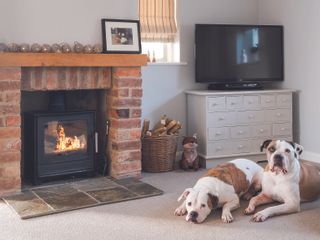grey living room with woodburning stove and dogs sat in from of fire