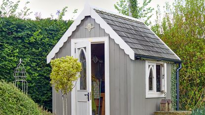 Grey shed with white trimming in garden