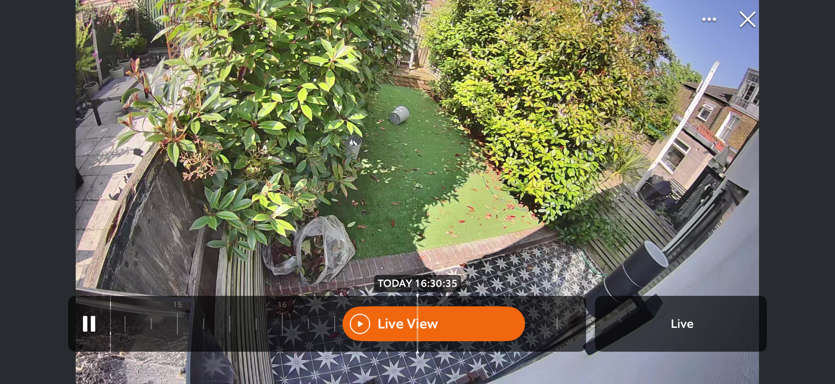 View from Rig camera of a garden
