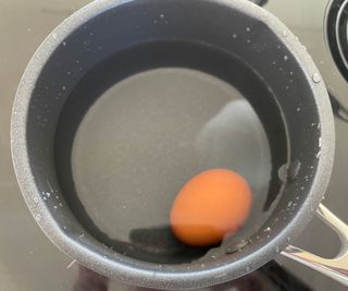 Lakeland Stainless Steel Pan Set boiling an egg