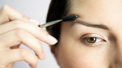 Woman Brushing Eyebrows - stock photo