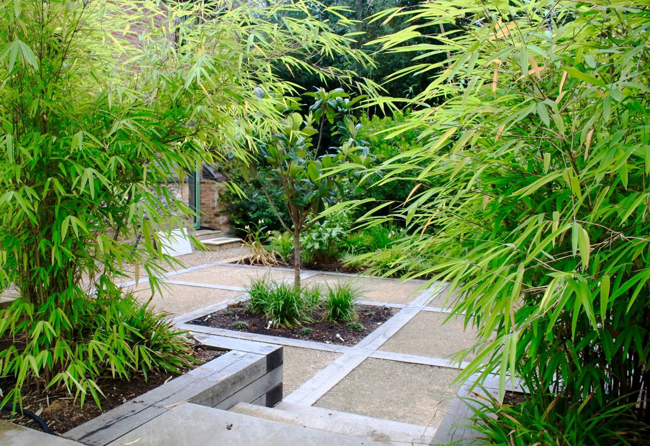 Peter reader garden planting garden design mistakes