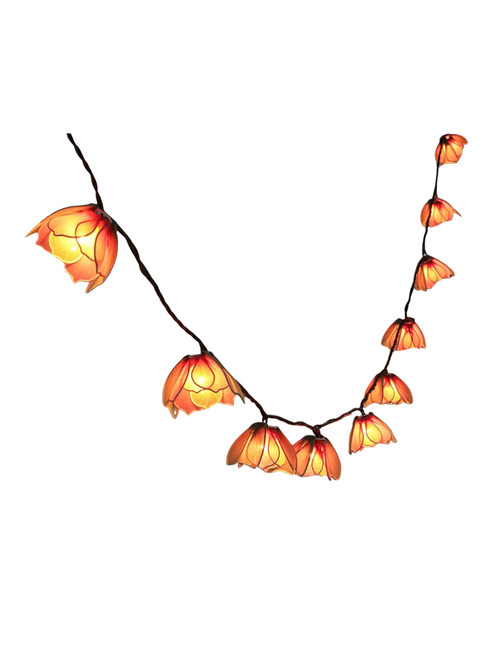 Decorative String Lights Plug in With 10 Bulbs