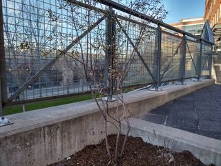 BlackBerry KEYone sample photo