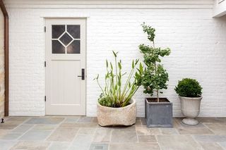 potted plants on a stone floor with a whitewashed wall and door
