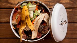 picture of food scraps in compost bin