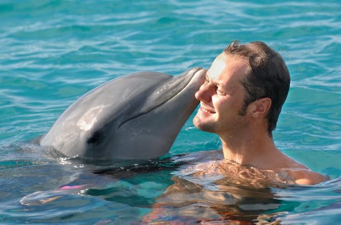 Tom Boonen lets a dolphin give him a kiss