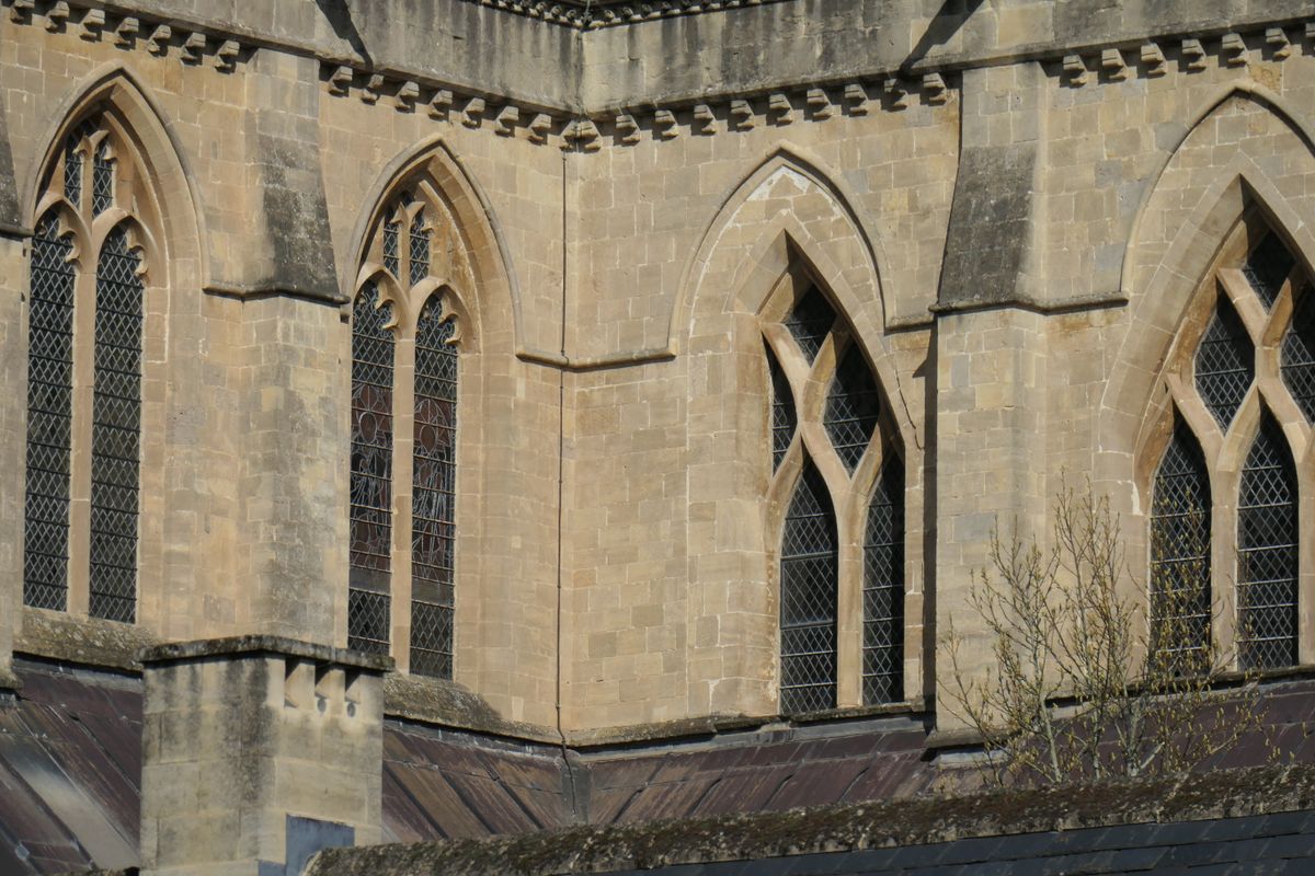 Panasonic Lumix ZS300 / TZ300 sample image