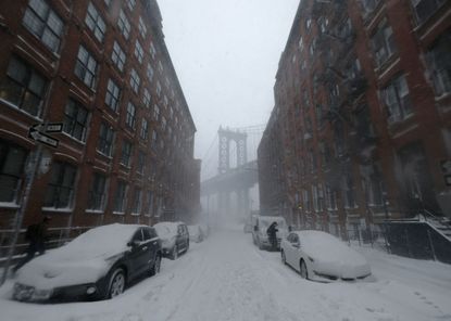 Snow in Brooklyn.
