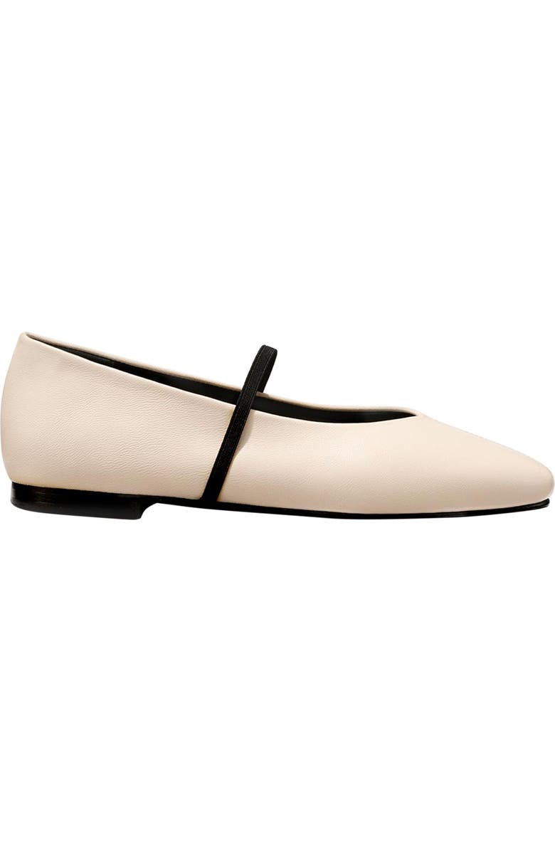 The Phoebe Flats