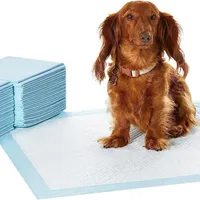 Amazon Basics Puppy Training Pads | Amazon.co.uk Amazon Basics Puppy Training Pads | Amazon.co.uk