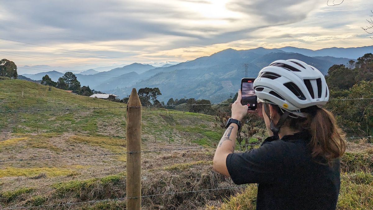 taking a picture of an avocado plantation