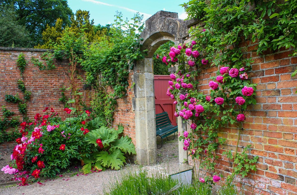 Colorful Plants Growing Around And Up Brick Walled Home