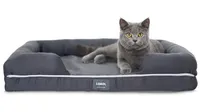 cat sofa