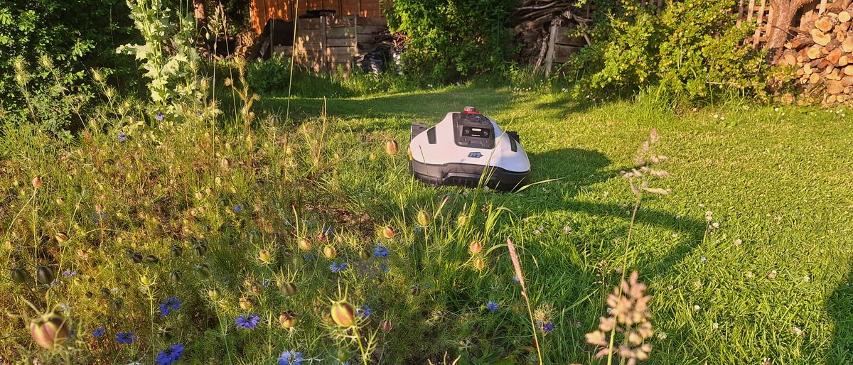 This compact lawnbot saved me from a summer of strenuous mowing