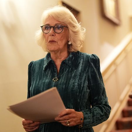 Queen Camilla books