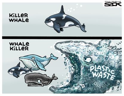 Editorial Cartoon World Whale killer plastic waste
