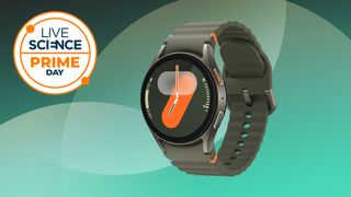 Samsung Galaxy Watch 7 deal