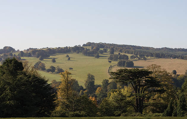 Yorkshire-Sculpture-Park.jpg