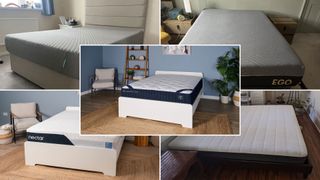 Composite image of the Siena 10" Signature, EGOHOME Black 12" Memory Foam, Nectar Classic, Bear Original and DreamCloud Classic mattresses
