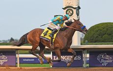 American-Pharoah-2-Mandatory-Credit-Mathea-Kelley.jpg