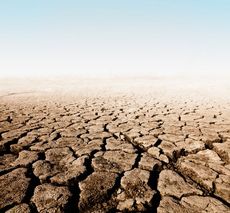 drought conditions