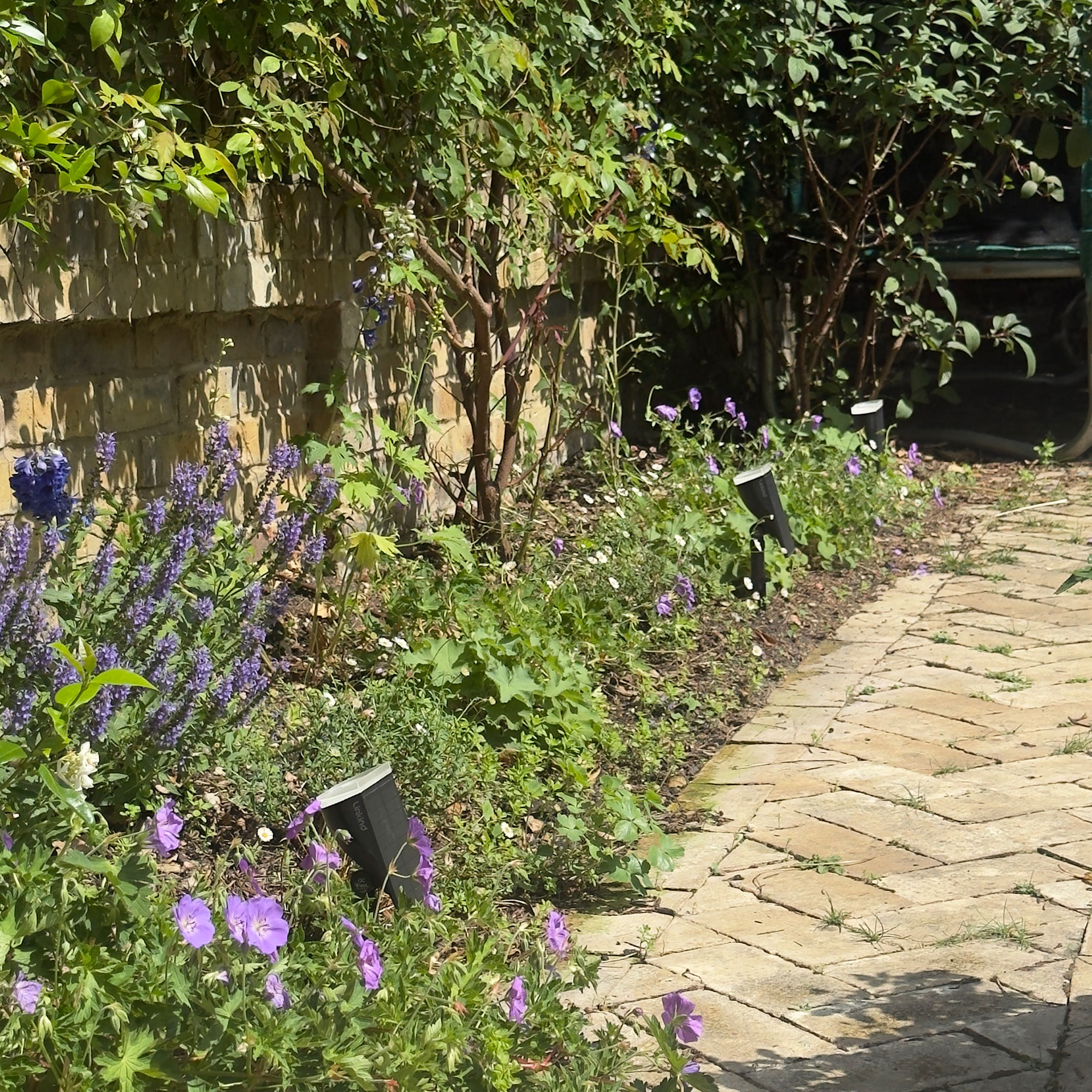 Flower bed between stone path and wall, with purple flowers and black uplighters