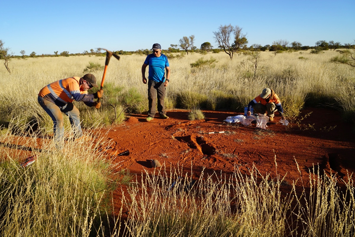 Barren Desert 'Fairy Circles' Caused by … Rain? | Live Science