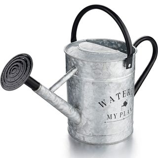 Galvanized Watering Can for Outdoor Indoor Plants