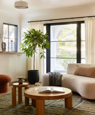 Μικρό άνετο σαλόνι με στρογγυλεμένα έπιπλα, φυτό σπιτιού στη γωνία και κεραμικά αντικείμενα για γλυπτική λεπτομέρεια
