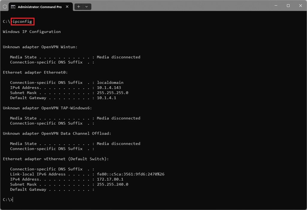 Command Prompt ipconfig command