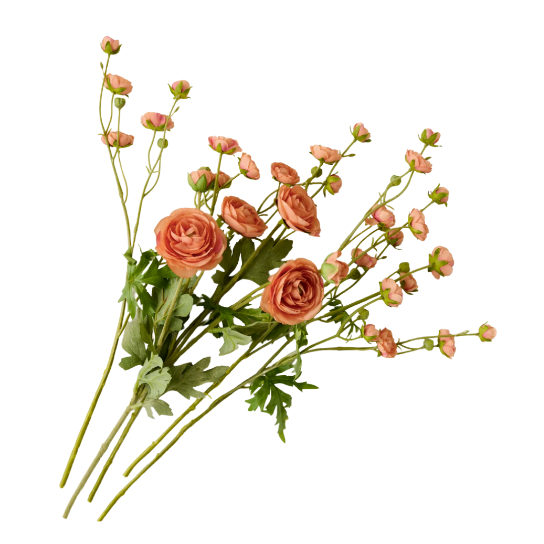 Ranunculus Bloom Bundle - Coral