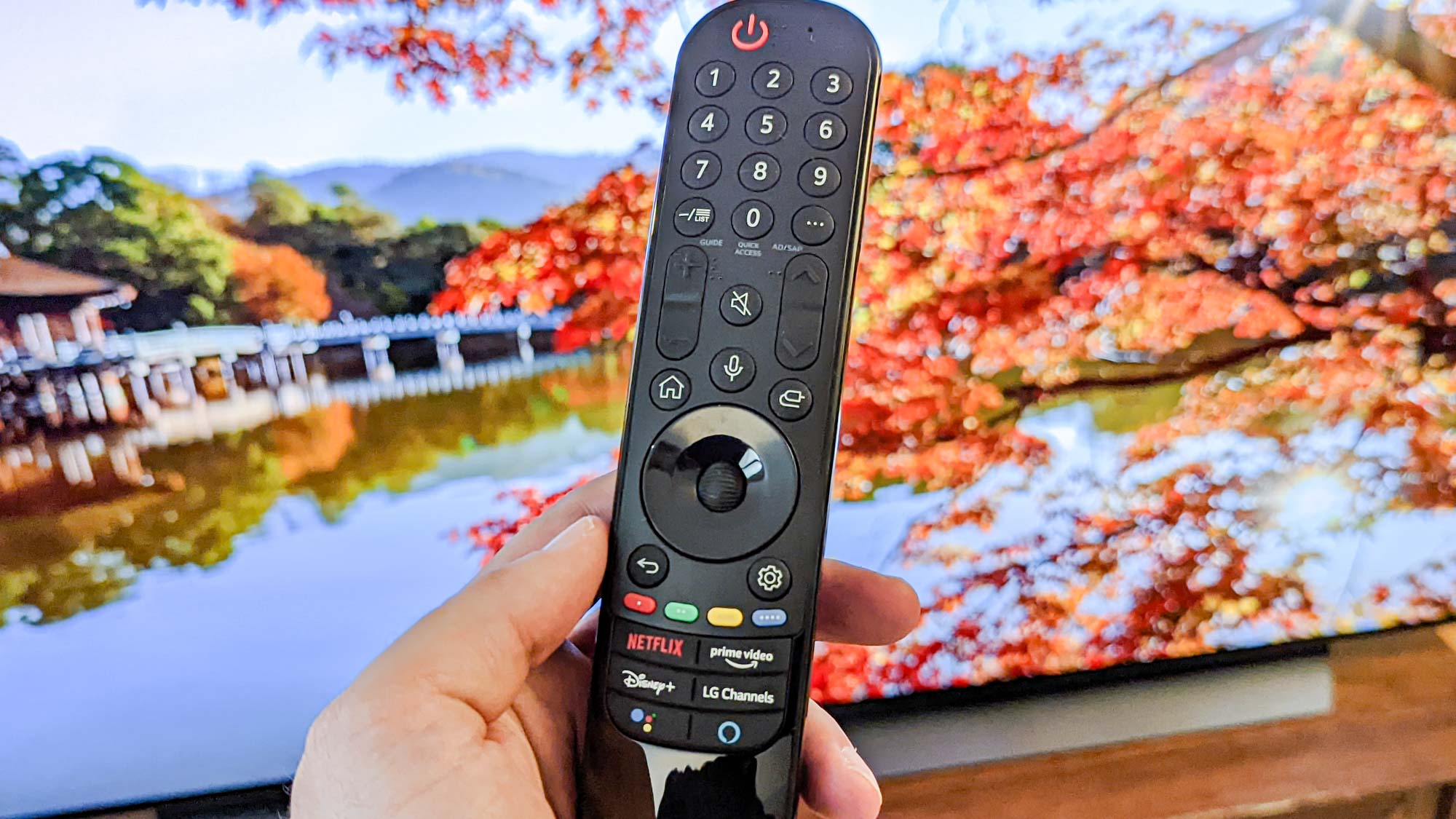 LG C1 OLED TV remote control
