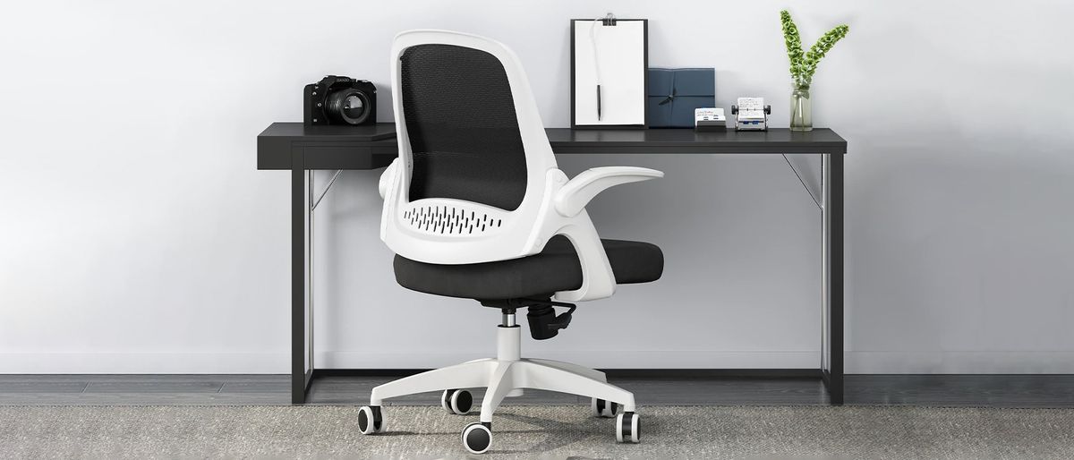 Hbada Office Task Chair in office