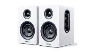 Best turntable speakers: Sanyun SW208