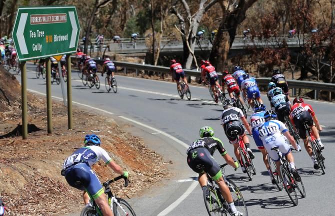 Riders on their way to the final climb of the day
