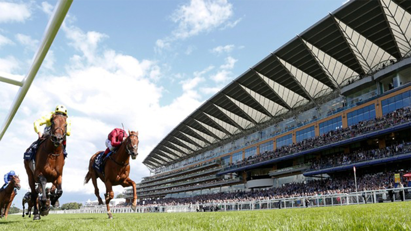 best horse racing binoculars buyers guide