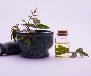 pestle and mortar with neem leaves and oil