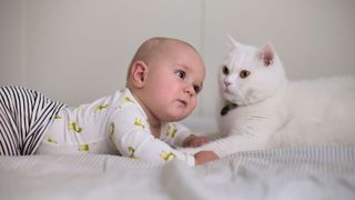 A baby face-to-face with a white cat