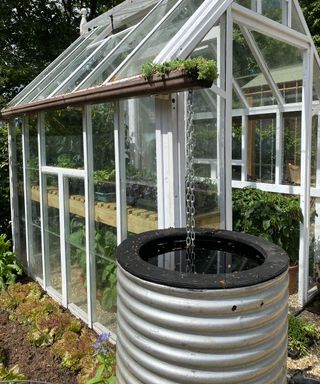 rain chain linking a greenhouse roof to a water butt