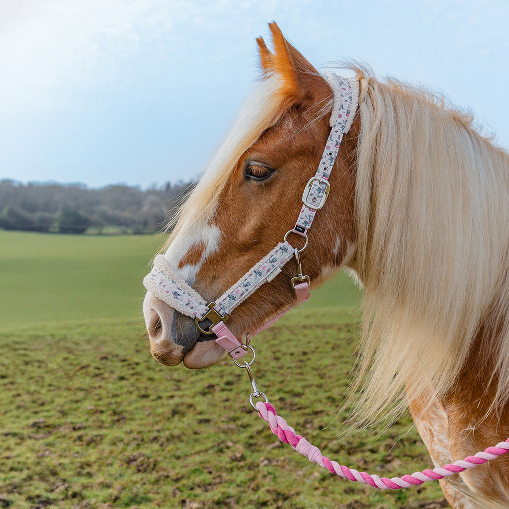 Cath Kidston Cowgirl Headcollar &amp;amp; Leadrope Set