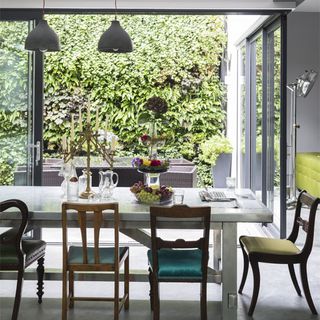 dining room with wooden table with chairs and plant in pots